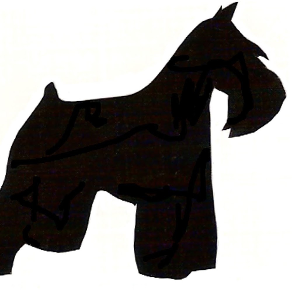 Meet your Posher, Tay